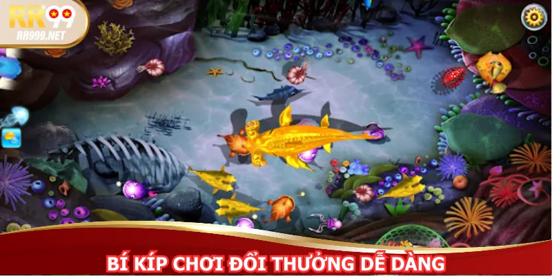 Bí kíp chơi đổi thưởng dễ dàng