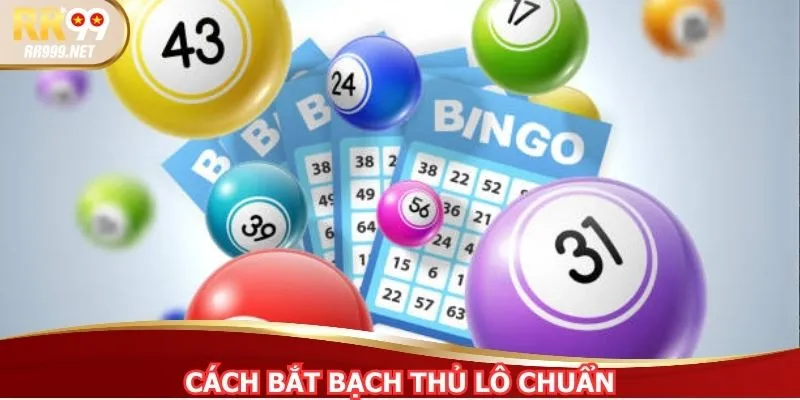 Cách Bắt Bạch Thủ Lô Chuẩn - 3 Phương Pháp Hiệu Quả