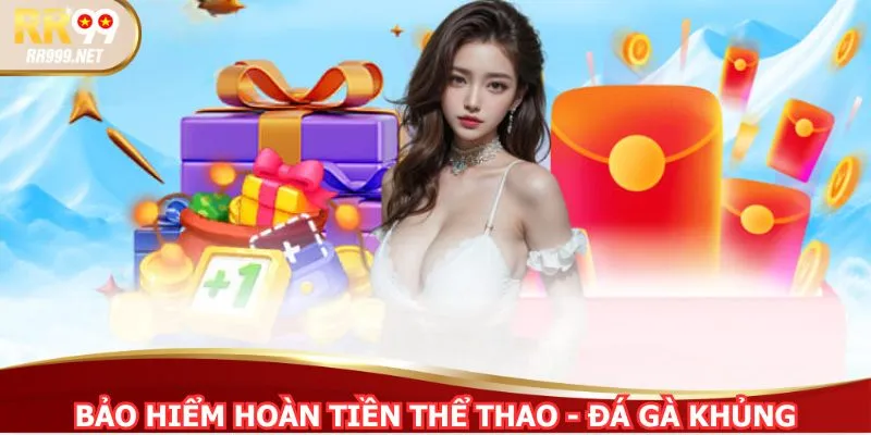 Có bảo hiểm thể thao và đá gà hoàn tiền cực chất mỗi tuần