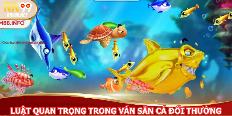 Luật quan trọng trong ván săn cá đổi thưởng