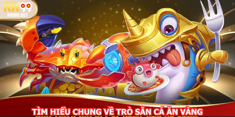 Tìm hiểu chung trò săn cá ăn vàng