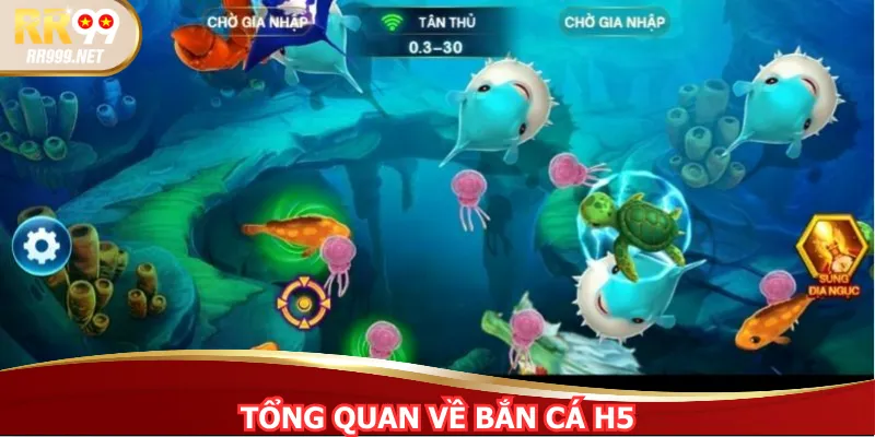 Tổng quan về bắn cá H5